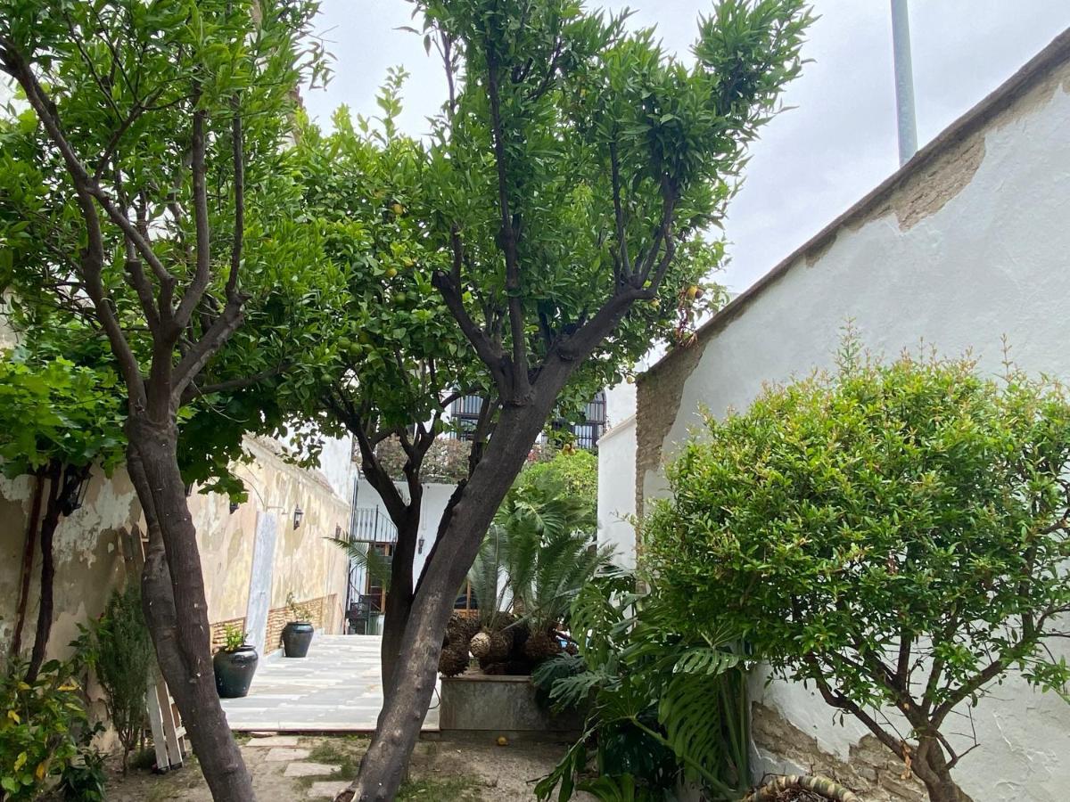 Casa Palacio Anima Jerez de la Frontera Exteriér fotografie
